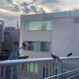 ������������ĸ�������������󥿡��Ǥν��ı��İ��������������ɼ���դ��Ϥޤ�ޤ�����ɼ����������ʤ��Ƥ������̾����̾�����������ɼ�Ǥ��ޤ����٤β���