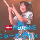 桜は散ってしまったけれど、デンマークでSakuraは満開です。