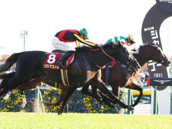 東スポ杯2着ゾロアストロ年内休養　来年に備える