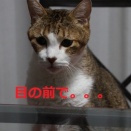 美味