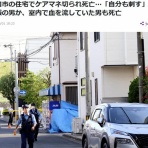 鳶の羽