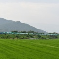 7月5日撮影　EH200が牽く東線貨物2083ﾚと2084ﾚより