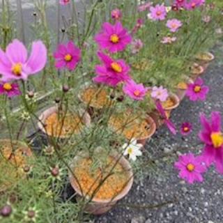 不登校365日24時間　フリースクール元気学園 ブログ