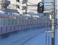 『雪の東京　東京の雪』の画像