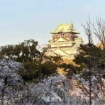 忘れないうちに…