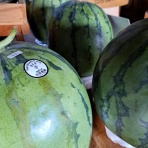 減農薬野菜、果物、お花、こだわりのうつわのお店　- 花うつわ大地（花咲農園） -