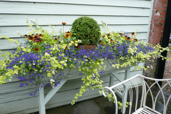 おとぎの国のガーデナー 寄せ植え