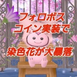 『フォロボスコイン実装で染色花が大暴落！』の画像