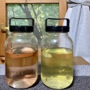 🍋 🍒 もう飲める