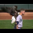  The bald eagle decided to make Paxton its landing spot