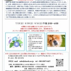 新座志木　がん哲学外来・カフェ