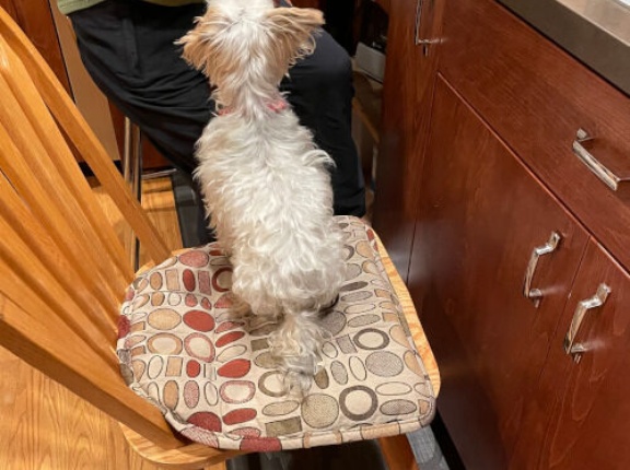 南カリフォルニアへ