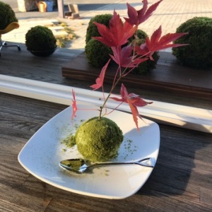 栃木県 鹿沼市 Bonsai Cafe お洒落な苔玉スイーツ 年新店 47 大食いグルメなランチ 栃木県 鹿沼市 Bonsai Cafe お洒落な苔玉スイーツ 年新店 47 大食いグルメなランチ