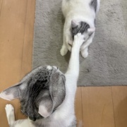 写真日記　7月上旬