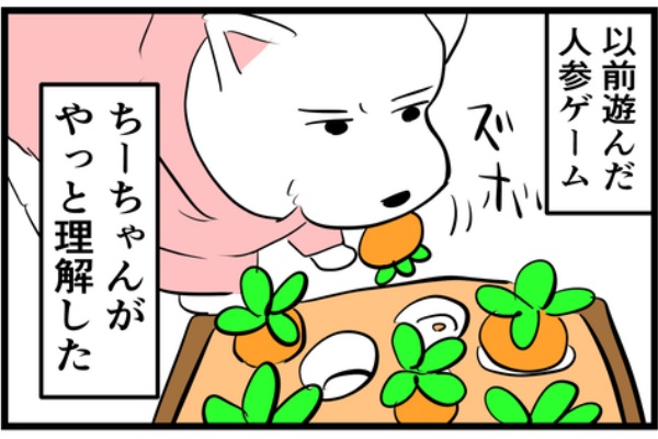 ちーちゃんっ🐾 - 犬あるある