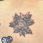 栃木県鹿沼市・宇都宮市のドラゴンタトゥースタジオ　　dragontattoostudio　