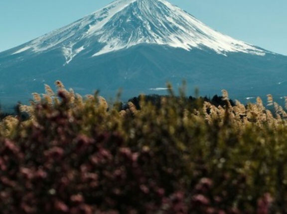 富士山の遭難死、標高3000m超が7割…多発する中高年男性の急死