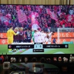 夫婦スポーツ観戦記！