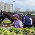 タイパ競馬場：その6　マカオ(あとマレーシア)の競走と賭け式