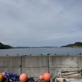 宮城県女川にて新規生牡蠣選別工場直営仮オープン