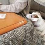 華・あず＆レン