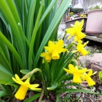 函館発　　ぼうけんの旅