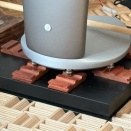 KAYA25、奇跡的にピントが合ったような。