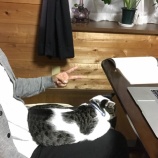 �ؤ���ߤ����Ѥ���Ȥ��ˤ֤Ĥ��룳�ĤΥ���Ȥ����н�٤β���