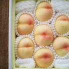 美味しいフルーツは正義。心が解けるーーー。
