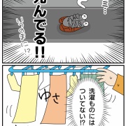 けえこ、夏の決意