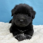 わん１００（ワンハンドレッド）四街道店