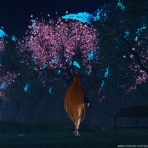 Lieu de repos～憩いの場～