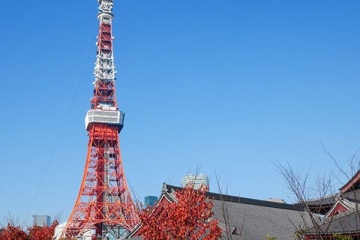 海外「ワクワクしてきた！」3日で東京まるごと楽しむプランが魅力的だと海外で話題