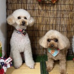 tamariのたまりば