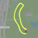 気持ちで負けて後悔(1月15日 12kmBU、MxK朝練)