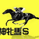 『阪神牝馬Ｓ(G2)【掟破りの金になる話】』の画像