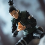 関節フィギュア庫