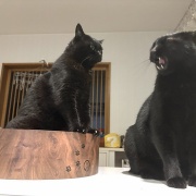 まだまだ若々しいスミちゃん