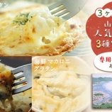 『ふるさと特産品　やまだプライドさんのグラタン定期便』の画像