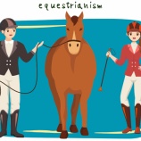 『Equestrian Sports(馬術)』の画像