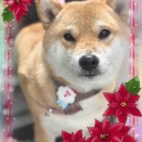 12月19日のお友達❤️