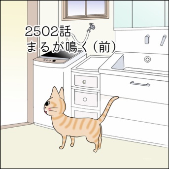あんこ＆麦2502 まるが鳴く（前）