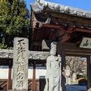 原市さくら会　１月句会報告