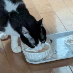 urushizutoぐみ と