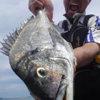 ؼʬڤȰʸȻߤˡķãϳư˹ߤޤ‼️٤β