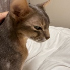 お布団の取り合い