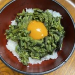 市原市議会議員　大曽根友三～トモゾウ～のBlog