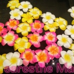 ｲﾔｰｴｽﾃ【Manis】孤高の耳かき師梨々花 プロの神髄☆