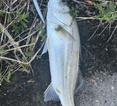 2025・エピソード10月のお話