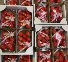 3/27（金）営業します